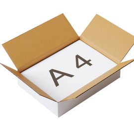 Earth Cardboard ID0513 Cardboard, 60 Sizes, Bottom A4, White, 10 Cardboard Boxes, Small Packaging