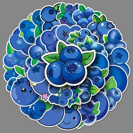 Blueberries Stickers 50 Pack Laptop Stickers,Vinyl Waterproof Stickers for Water Bottles Skateboard Scrapbook Bike Computer,Phone,-Graffiti Stickers Pack for Teens Girls Kids Adults(Blueberries)