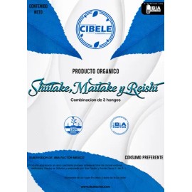 Combinación 250gr Reishi Shitake Y Maitake Polvo Org,                                                                                                 