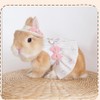 Rabbit Harness and Leash with Lovely Hat - Bunny Harness