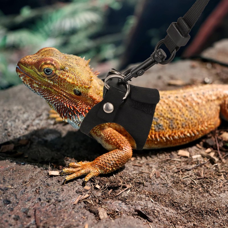 ADOGGYGO Bearded Dragon Harness Leash Set- 3 Size Pack Lizard