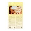 Sun Bum Lighten and Tone Kit | Travel-Sized Hair Lightener