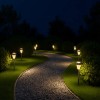 Solar Garden Lights 6Packs IP65 Water Resistant LED Lawn Pathway