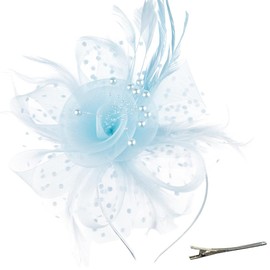 DRESHOW Fascinators Hat Flower Mesh Ribbons Feathers on a Headband and a Forked Clip Cocktail Tea Party Headwear for Girls and Women