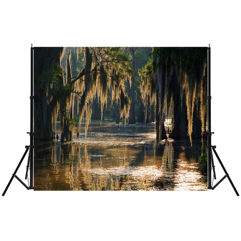 Fmarui Swamp Landscape Backdrop Bald Cypress Trees and Spanish Moss