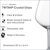 SCHOTT ZWIESEL Forté Burgundy Goblet (Set of 6), Burgundy Glasses