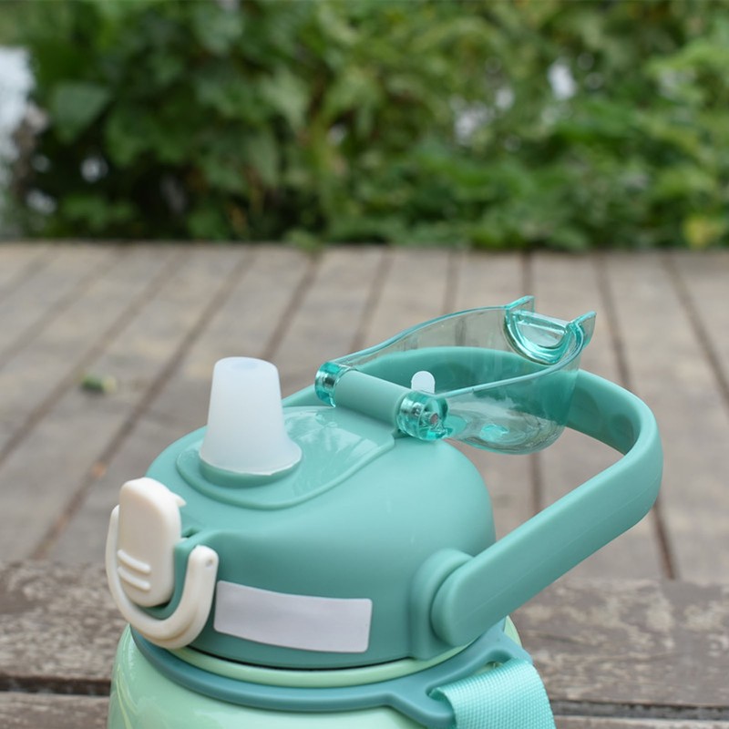 Insulated Water Bottle 650ML 304 Stainless Steel Straw Bottle for