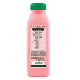 Fructis - Champú Garnier para el cabello Sandia, 300 ml