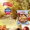 Seneca Caramel Apple Chips | Made from Fresh Apples |