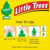 LITTLE TREES Car Air Freshener | Hanging Paper Tree for