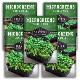 5 Packs Sunflower Microgreens Seeds for Sprouting and Growing - Sprout Green Leafy Micro Vegetable Plants Indoors - Grow Your Own Mini Windowsill Garden - Non-GMO Heirloom - Survival Garden Seeds