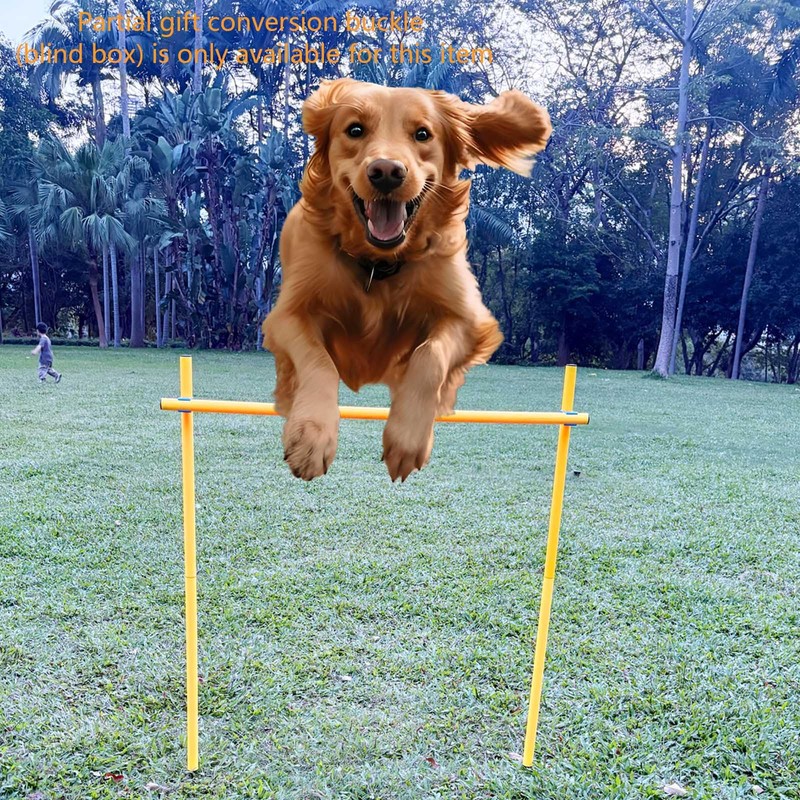 Dog Agility Equipment, Agility Poles, Dog Jumps, Outdoor Obstacle Course