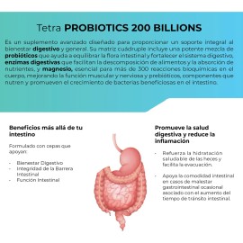 TETRA PROBIOTICS 200 BILLONES - 200 capsulas (200 BILLONES UFC por porcion), Complejo de Probioticos con Fibras Prebioticas, Enzimas Digestivas y Citrato de Magnesio by Eternal Nutrition
