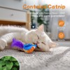 WONDAY Cat Feather Chirping Bird Toys 4 Pack Flying for