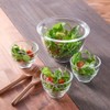 HARIO HU-3012 Heat Resistant Glass Cups, Set of 5, Microwave,