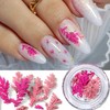 Real Dried Flowers Nail Decals Mini Fall Leaf Dry Flowers