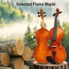 Vetimobato Acoustic Violin 4/4 Full Size Set Handmade Maple Solid