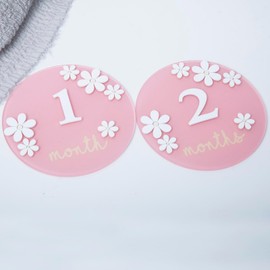 Acrylic Daisy Baby Milestone Cards, 3D Baby Milestone Signs, 1-12 Months Interchangeable Monthly Milestone Sign, Baby Announcement Sign, Baby Photo Prop