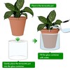D'vine Dev 10 Inch Design Self Watering Pot for Indoor