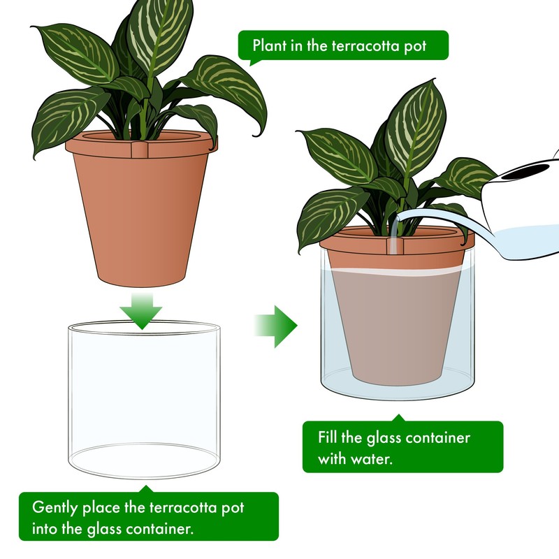 D'vine Dev 10 Inch Design Self Watering Pot for Indoor