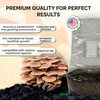 MycoHaus Compost for Mushroom Growing | Sterilized Substrate for Mushrooms