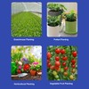 Soil Detector LED Screen PH Tester Plant Moisture Meter Acidity