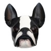 NOVICA Animal Themed Wood Mask, White and Black, 'Sweet Boston