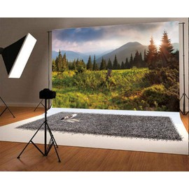 7x5ft Spring Natural Scenery Backdrop Mountains Trees Green Grass Jungle Photography Backdrop Sunshine Pine Tree Spring Vinyl Thin Photography Background for Photo Studio Props