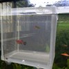 Aquarium Breeding Boxes,CHENKEE 3 pcs Fish Breeder Net Fry Hatchery