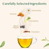 VAHDAM, Turmeric Chamomile Tea Bags (100 Herbal Tea Bags) Caffeine