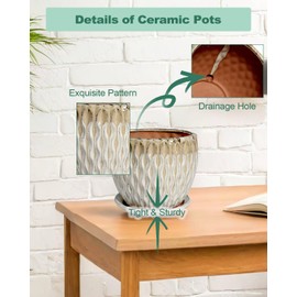 vensovo 7.5 Inch Ceramic Plant Pot with Drainage Holes and Saucer - Large Round Orchid Pot for Indoor Repotting, Ceramic Planter Maintain Air Circulation, Yellow