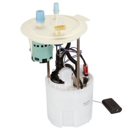 Delphi FG1319 Fuel Module