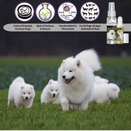 The Blissful Dog Samoyed Relax Dog Aromatherapy Spray for Your Dog's Anxiety