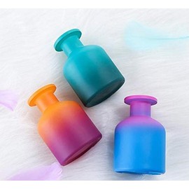 erioctry 1PCS 150ml/5oz Glass Diffuser Bottle Aromatherapy Jar Exquisite Essential Oils Container Fragrance Accessories Use for DIY Diffuser Sticks Essential Oils Crafts Decor Gift