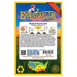 Everwilde Farms - 125 Meadow Blazing Star Native Wildflower Seeds - Gold Vault Seed Packet