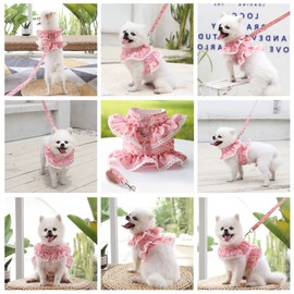 2 Pack Dog Dress Harness Vest with Leash Set, Pink Flower Puppy Harness Mesh Breathable Cat Vest Harness Cute Doggy Lace Princess Clothes for Outdoor Walking Clothing for Small Boy Girl Dog Cat