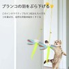 EsiFare Cat Toy, 4-piece Set, Over the Door, Relieves Lack