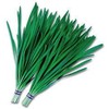 Chives: Cut: 2.0 inches (5 cm), 17.6 oz