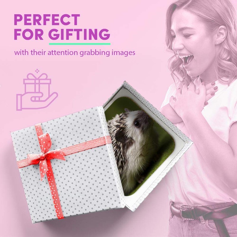 1 x Square MDF Fridge Magnet - Hedgehog Garden Wildlife