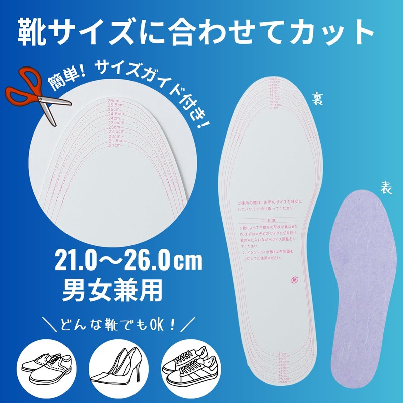 Amelia [Made in Japan/Disposable] Echizen Washi Insoles, Deodorizing, Set of