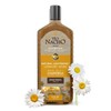 TIO NACHO Natural Lightening & Volumizing Shampoo 14 oz