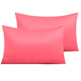 NTBAY Fundas de Almohadas de satén con Cremallera para el Cabello y la Piel, lujosas Fundas de Almohadas Queen con Cremallera Oculta, Juego de 2, 51 x 76 cm, Rosa Coral
