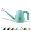 WhaleLife Indoor Watering Can for House Bonsai Plants (2.0L, Blue)