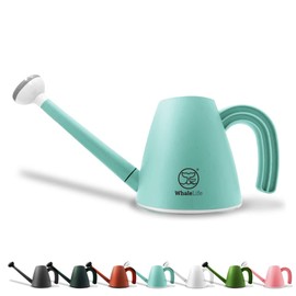 WhaleLife Indoor Watering Can for House Bonsai Plants (2.0L, Blue)