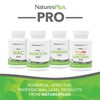 NaturesPlus PRO Optimized Curcumin Longvida 500 mg Capsules - Superior