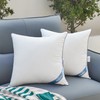 Atarashi 16 x 16 Outdoor Pillow Inserts(Set of 2) -