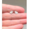 Polar Bear Teddy Earrings - 925 Sterling Silver