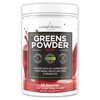 Livingood Daily Greens Berry - Super Greens Powder for Gut Health (30 Servings)