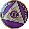 Ranger Industries 20 Year AA Medallion Metallic Purple Tri-Plate Sobriety