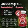 Well&Whole Grass Fed Beef Liver Gummies, Dessicated Beef Liver Supplement